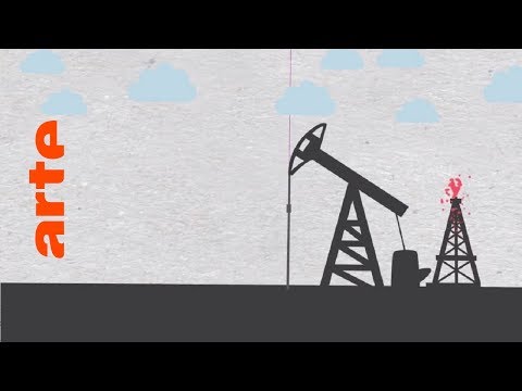 Gibt es bald kein Erdöl mehr? | Data Science vs Fake | ARTE