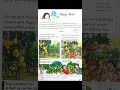 Mango Birds Mango Birds Class 4 Ch 1 Explanation Raindrops