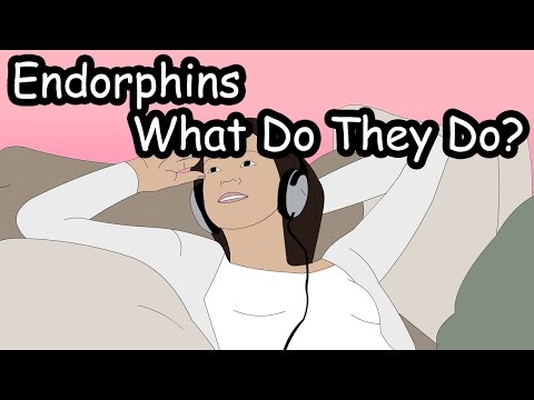 What are Endorphins?...and Enkephalins?