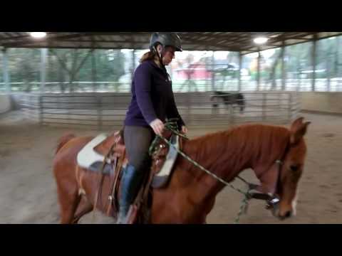 Gracie trot work 10/25/16