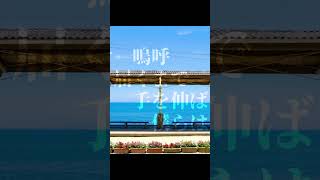【オリジナル曲】灯【synthesizerV】#Short #シンガーソングライター #弾き語り #ボカロp #dtm #歌ってみた #ギター #アニソン #synthesizerv