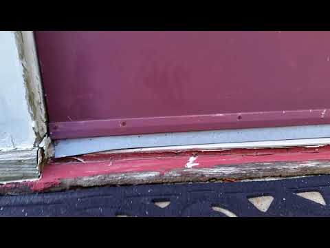 Ants infest Lanoka Harbor, NJ kitchen