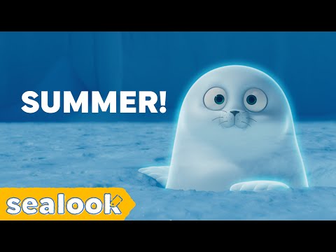 How the Cool Seals Deal with Summer🧊ㅣSEALOOKㅣEpisodes Compilation