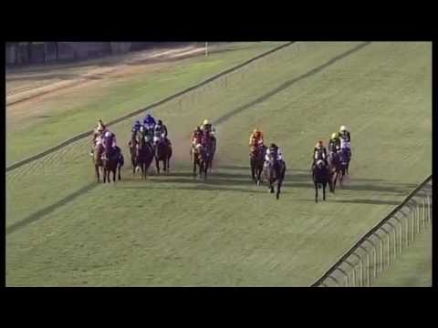 2016.06.04 Sun Sprint (RSA) - Talktothestars