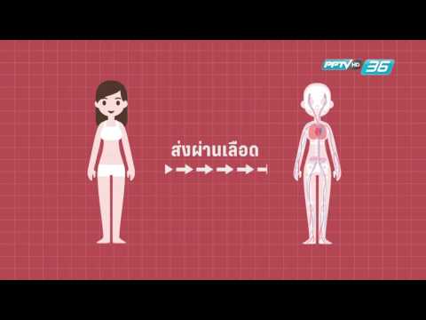 อุปกรณ์สำหรับแรง เพิ่มสมาชิกฝนตกหนัก