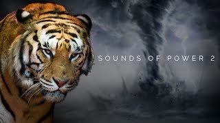 One Hour Of The Most Powerful Epic Background Music For Videos - Sounds of Power 2