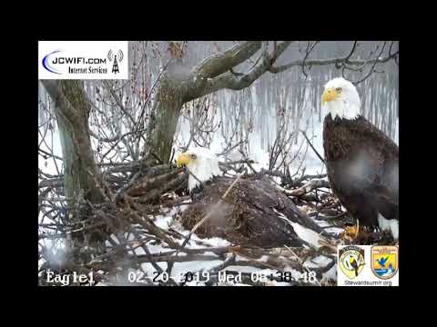 Trio Eagle Cam - Cam wiper in motion