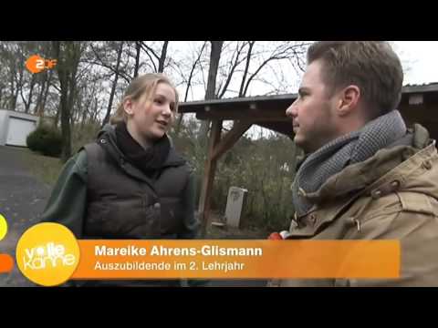 Das Leben als Bestatter Teil 1   ZDF