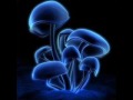 Infected Mushroom - Mush Mushi