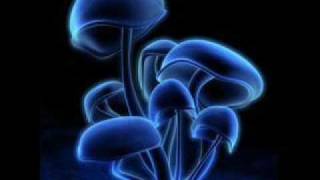 Infected Mushroom - Mush Mushi