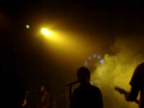 RECUPERANDO EL TIEMPO PERDIDO-MOSQUITO FARM-