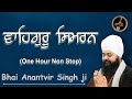 Waheguru Simran | Bhai Anantvir Singh Ji | Live kirtan