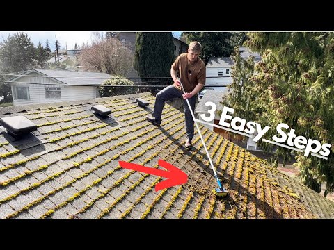 So reinigen und entfernen Sie Dachmoos für immer