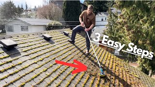 How to Clean and Get Rid of Roof Moss For GOOD