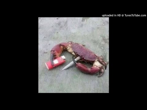 grzana x skiba - nzcs (na zgierzawie ciągle syf)