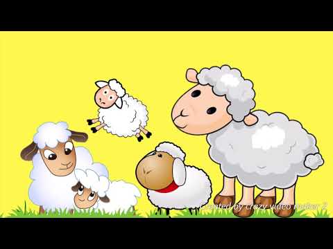 Przypowieść o Dobrym Pasterzu.