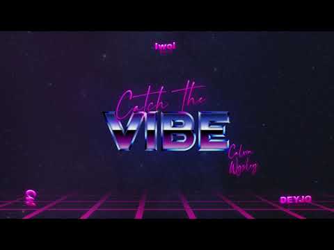 Calvin Wysley - Catch the Vibe (Audio).