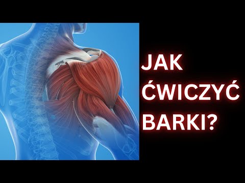 Jak trenować BARKI, by były wielkie, jak KULE ARMATNIE? #siła #treningsiłowy #kulturystyka