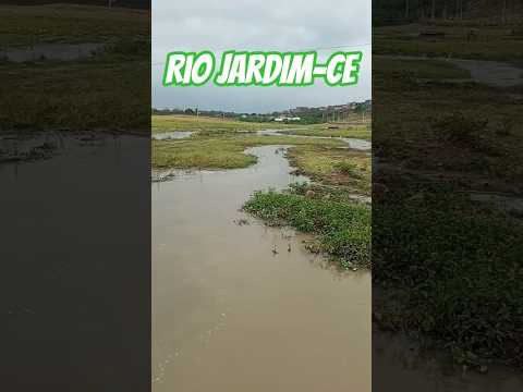 RIO JARDIM-CE #ceará #nordeste #viral #fazenda #sabiadocampo #yourcat #gado