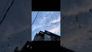 Download lagu Ruposh - OST 💘✨ | Aesthetic Lyrical Video #lyrics #trending #song #viral #love #shorts #fyp mp3