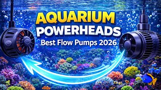 Aquarium Power heads and Flow - 2026 Whats the best options for flow in your reef tank?