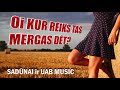 Sadūnai - Oi, kur reiks tas mergas dėt