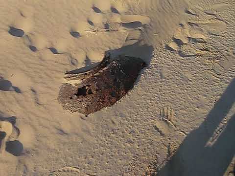 Nazi sea-mine, from WWII, in sand at beach, Newburgh Scotland, video'd 2011