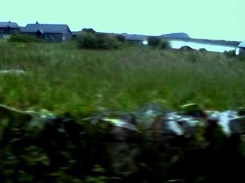 Higher Calling   Teeth & Tongue Jam