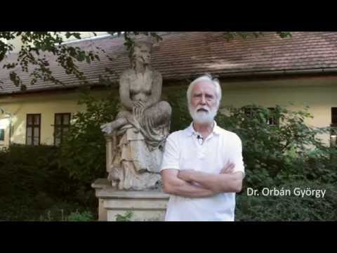 ARáday - Ráday Soho