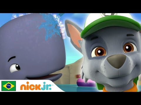 Capa de Patrulha Canina | Lavando baleias | Nick Jr. em Português