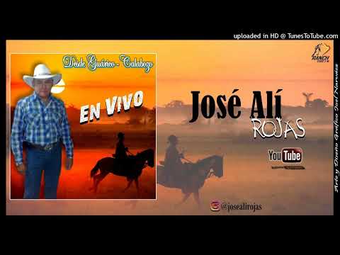 Jose Ali Rojas - Pajarillo de mi tierra (en vivo) - @joelantonionarvaez - @josealirojas2730