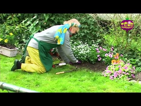 Village fleuri - Groland - CANAL+