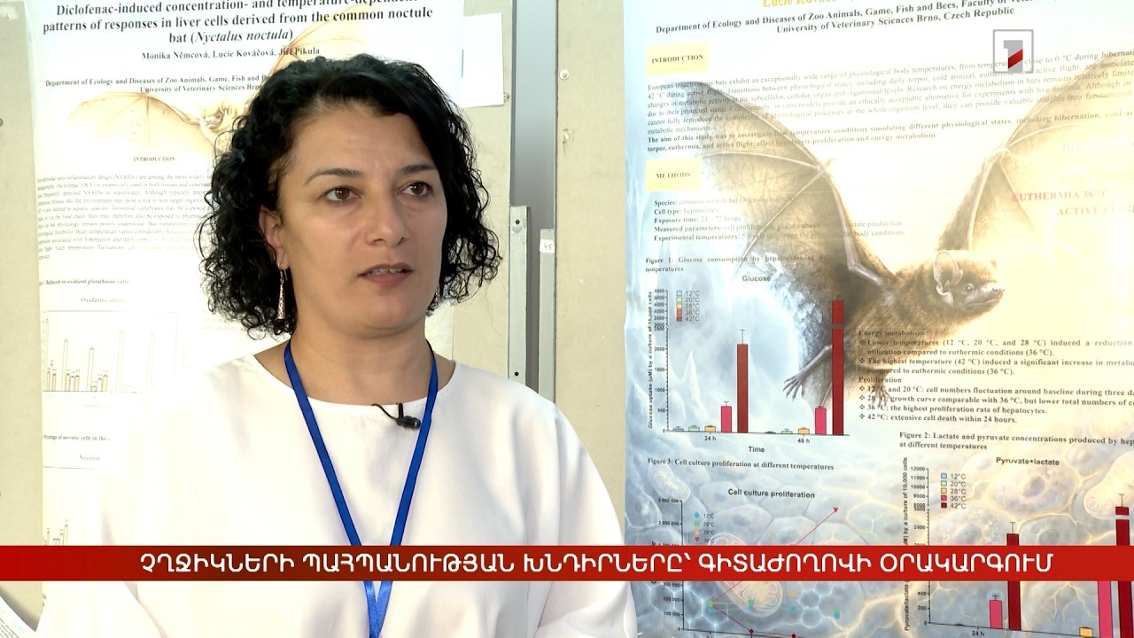 Չղջիկների պահպանության խնդիրները՝ գիտաժողովի օրակարգում