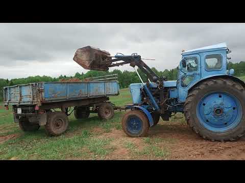 Погрузка песка на тракторе т 40 с усиленным мостом