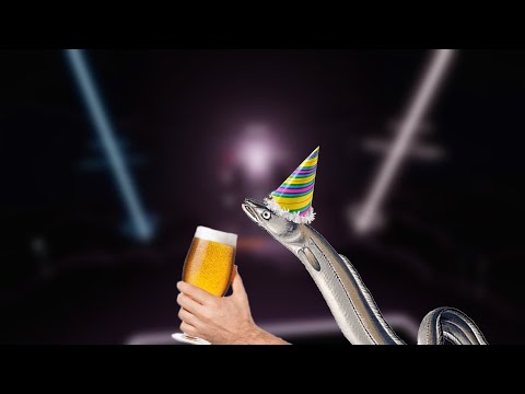 the word "party" repeated 13 times