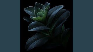 Mystery of Passion