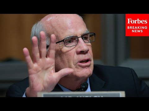 Video | 'He's Never Tried A Case Before A Judge': Peter Welch Tears Into Key Trump Judicial Nominee