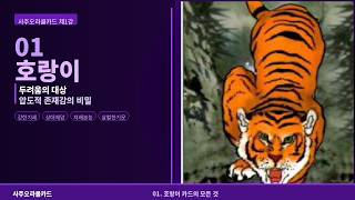 영상2