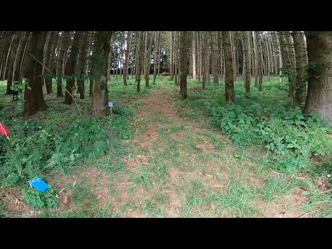 Bogenpacour Altrandsberg 2022