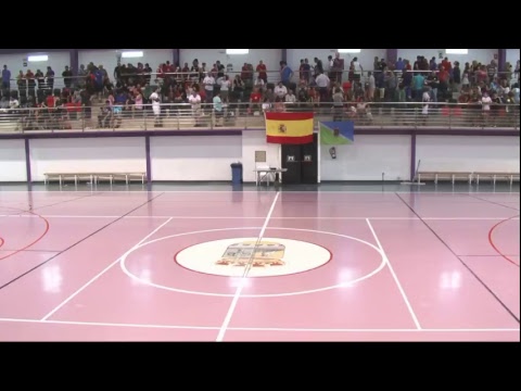 Semifinal CD Viator- CD Ciudad de Vallecas Futbol Sala