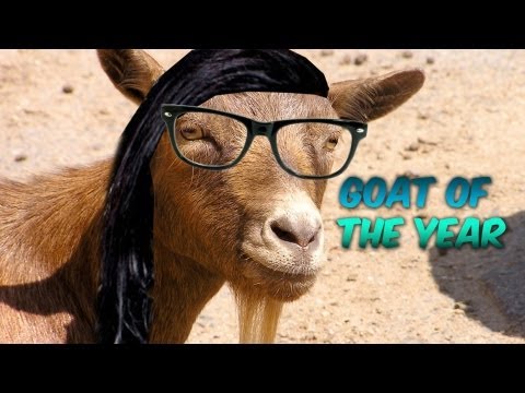 Funny animal videos - Skrillex - First Of The Year (Goat Remix)