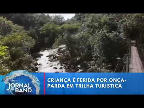 Menina de oito anos é atacada por onça em Goiás