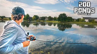I Found A LOADED Neighborhood Pond! ("200 Ponds" Ep. 24)