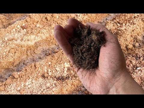 Как Сделать Песок Плодородным Как Чернозем? Превращаем песок в плодородную почву!