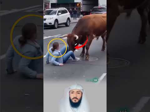 ​كم من بلاءٍ نراه قادماً نحونا كالإعصار، فيلطف الله بنا و يجعله يمر برداً وسلاماً. ما #trending