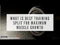 What is Best Training Split for Maximum Muscle Growth