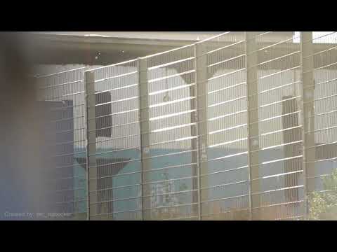 Hansa Rostock Motivationsvideo Saison 2020/21