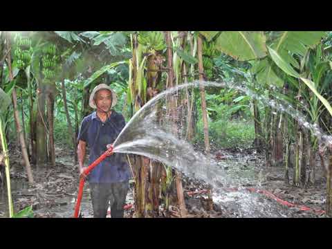 Đại Lộc tôi yêu - Hà Vân