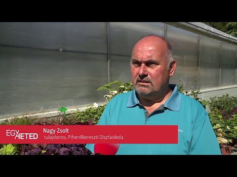 Egy Heted - 2022.08.18. - Csütörtök - SopronTV