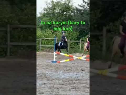 Hehe Prosiak pięknie wczoraj #hh #horse #hobbyhorse #equestrian